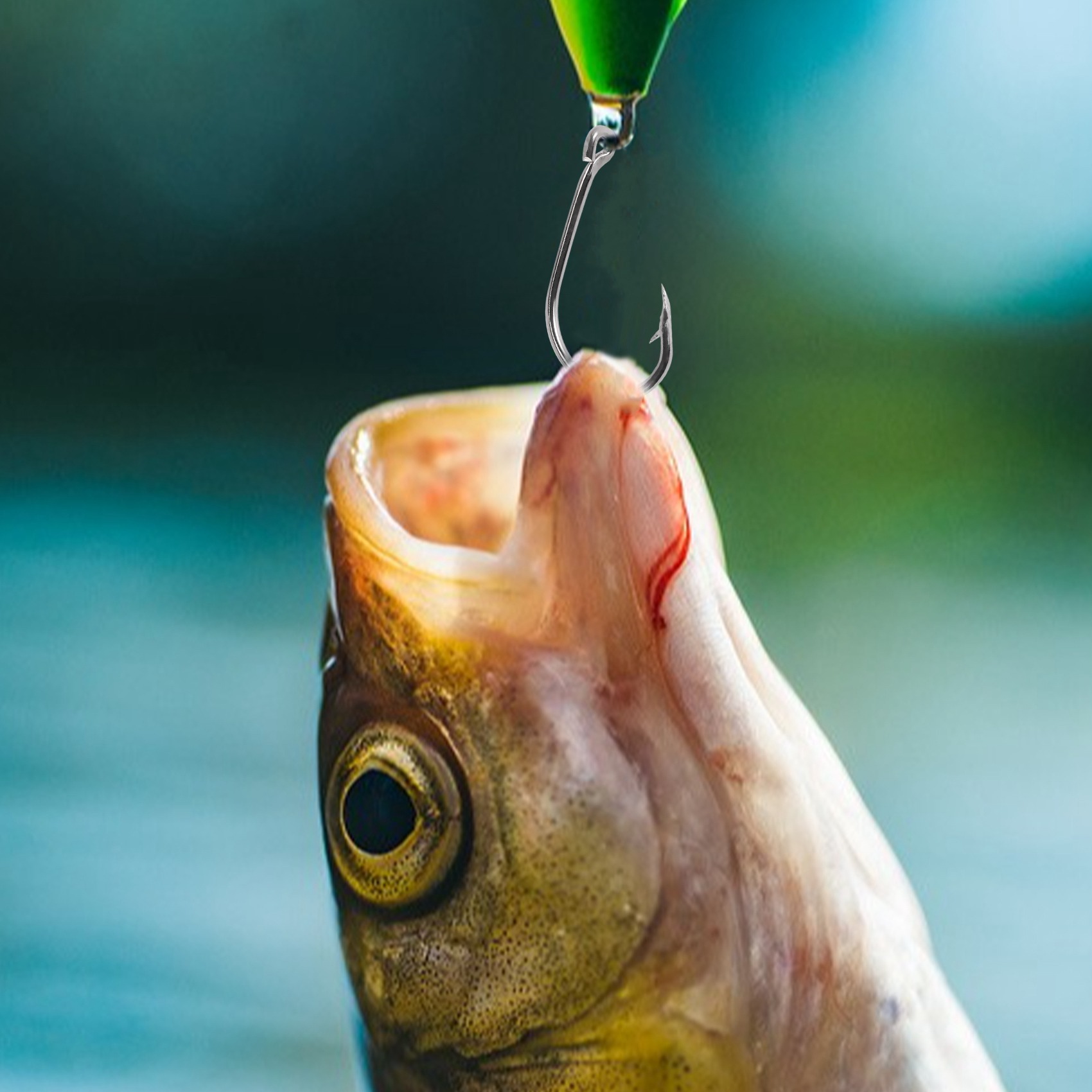 New arrival  500Pcs/Set Mixed  - Fishing Hook Size 评论和价格